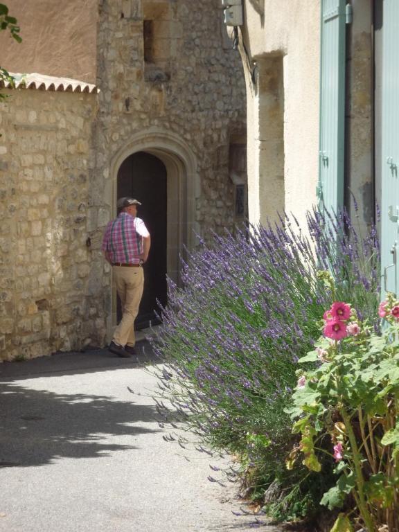 Les Arcades Le Lion D'or Buis-les-Baronnies